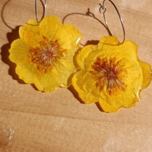 Aros de cosmos anaranjados